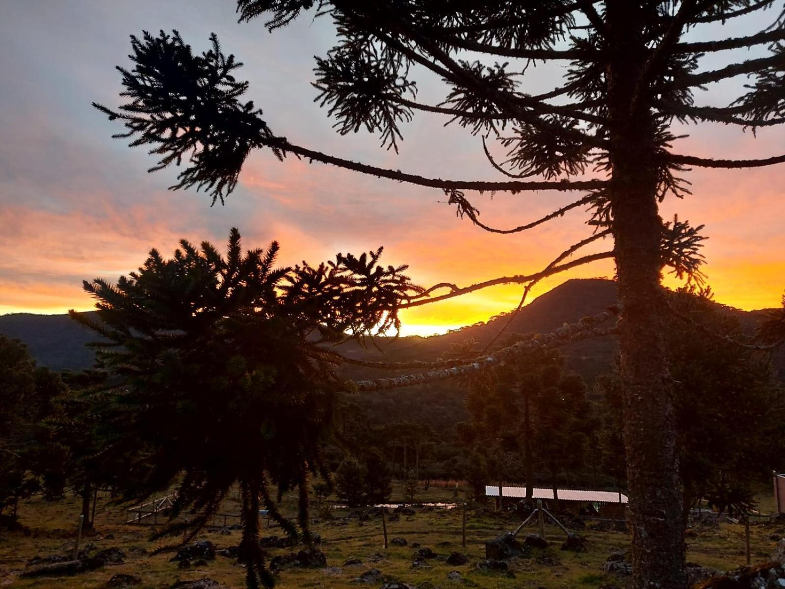 Monte Siao Chateau Urubici Exteriér fotografie
